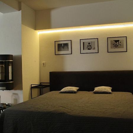 Wellness Gallery Apartments Liberec Buitenkant foto